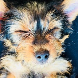 Meet your Posher, Rene